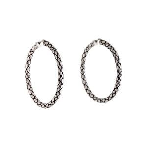 ❤️Celine Animals Bold Hoop Earrings❤️